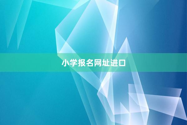 小学报名网址进口