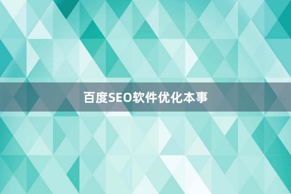 百度SEO软件优化本事