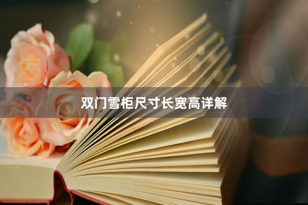 双门雪柜尺寸长宽高详解
